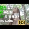 VR360영상 초고화질 | 레깅스 입고 산책 중인데 같이할래요? |  등산  브이로그  | VROK | 오큘러스 퀘스트 2 | INSTA 360 | 브이록