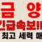 [금양] 긴급속보! 국내 최고 세력 매집중 금양주가전망,금양주가,금양전망,금양주식,금양분석,금양관련주,금양목표가