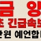 [금양] 최초 긴급속보! 10만원 예언합니다 인생 바꿔드립니다 금양주가전망,금양주가,금양전망,금양주식,금양분석,금양관련주,금양목표가