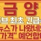 [금양] 유튜브 최초 긴급속보! 이 뉴스가 나왔네요?! 이 가격 예언합니다 금양주가전망,금양주가,금양전망,금양주식,금양분석,금양관련주,금양목표가