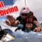 Sky Diving – My First Sky Diving Experience, Comparison to Bungee Jump, Sky Dive, Adventure