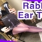 Rabbit Ear Wine Opener – Cork Screw Unboxing, Try Out, Review in Shiny Purple Tights / Nylons