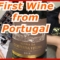 Portuguese Red Wine – Coutada Velha, Alentejano, Portugal, Wine Tasting in Sheer Tights / Nylons