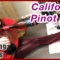 California Pinot Noir – Siduri 2017, Russian River, Wine Tasting in Red Tights / Nylons Layering