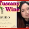 Tuscany Wine – Il Fauno, Italy, Wine Tasting, Italian, Toscana, Italiano, 2014