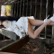 At a Resort, Away for Too Long, Yeonji, Pocket Girls, 연지, 포켓걸스