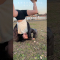 【DAY 17】100日以内にエガちゃんの三点倒立を成功させる女 / three point handstand challenge!!