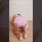 【DAY 03】100日以内にエガちゃんの三点倒立を成功させる女 / three point handstand challenge!!