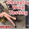 Sexy Sheer Nude Pantyhose Shoeplay Wine Tasting in Tights, Lace Gloves, Nylons, Heels Dangling