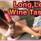 California Cabernet Sauvignon, Beaulieu Vineyard – Wine Tasting in Tights Nylons