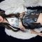 걸크러쉬 태리 슬로우 버전 slow version of Korean girl group – Girl Crush Tae Ri