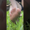 喜歡紫色指甲嗎💅😚