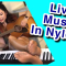 Music in Pantyhose, Piano Guitar Live Stream in Nylons Tights Hosiery, Pedal Pumping